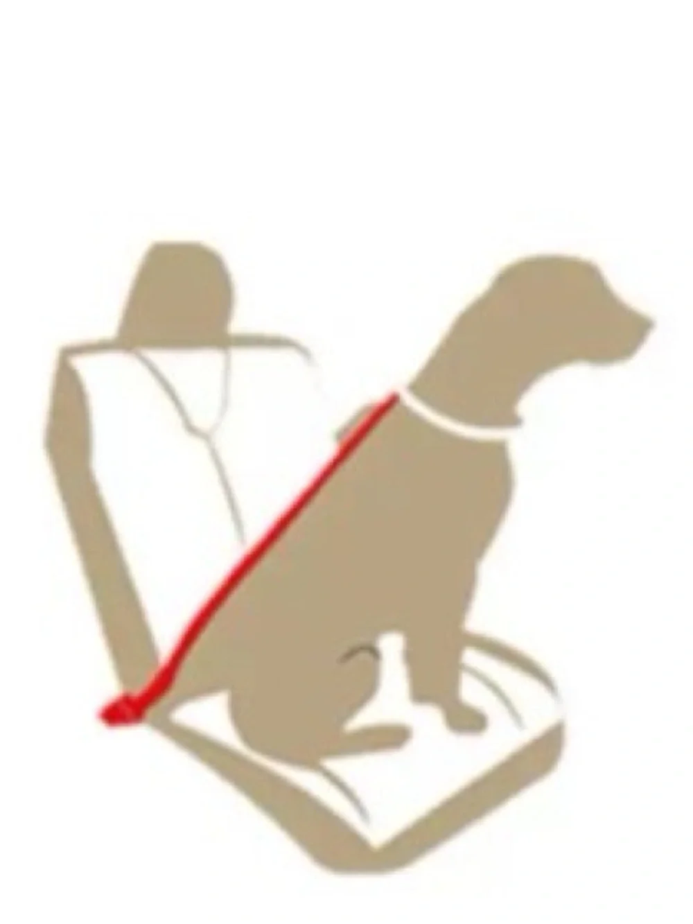 New Heavy Duty Dog Leash with Padded Handle